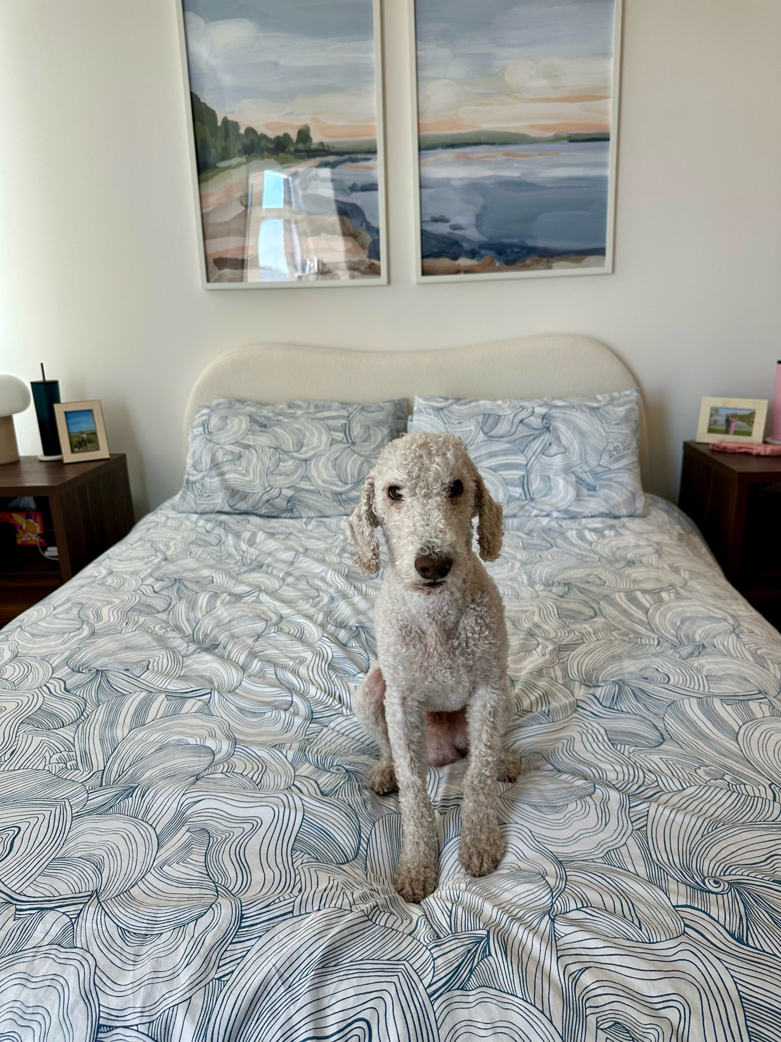 These sheets are incredible from Brooklinen. Love these upgrade to luxe sateen for the bed. Dog approved 😉

#LTKHome #LTKCyberWeek #LTKGiftGuide