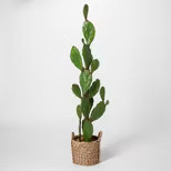 61" x 18" Artificial Cactus In Basket Green/Brown - Opalhouse™ | Target