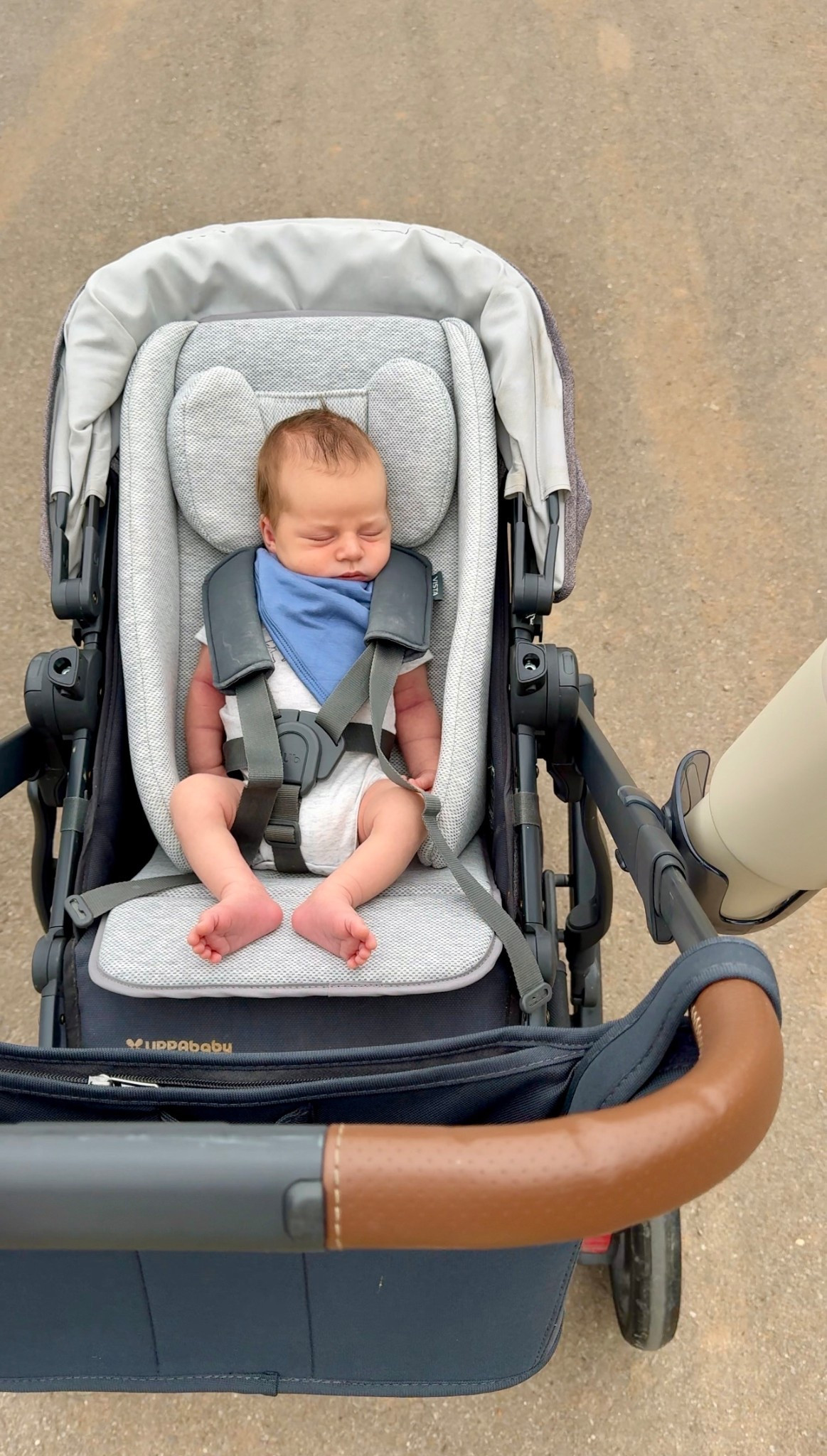 This stroller insert was life changing for the newborn days on stroller walks. Fits in our Uppa Baby stroller no problem  

#LTKFamily #LTKBaby #LTKBump