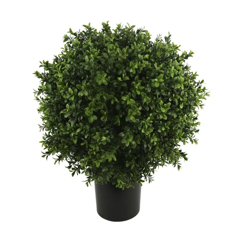 UV Rated Indoor/Outdoor Faux Boxwood Topiary | Wayfair North America