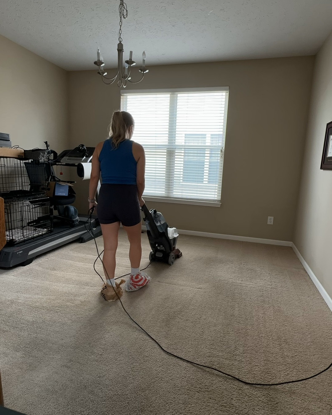 Carpet cleaner and cleaning solution, carpet cleaning with pets, pet odor 