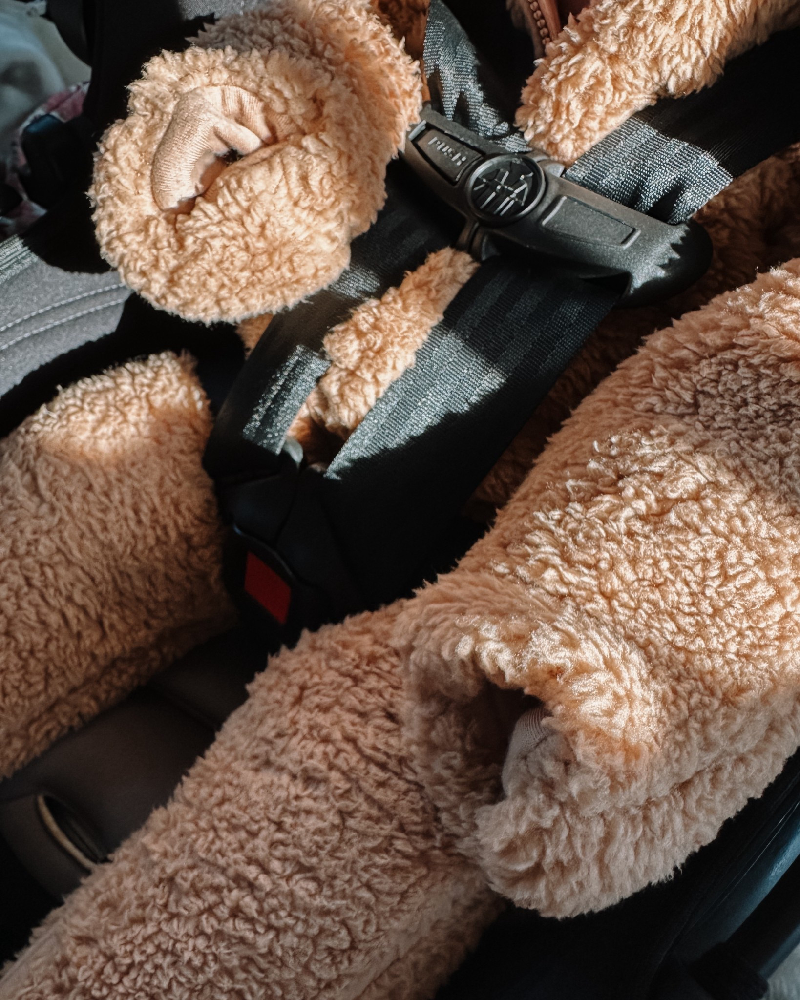 Baby girl car ride cozy ❄️🐻

Sharing this GAP bear suit we’ve been loving - current on sale and perfect for keeping baby warm during outfits and travel. Soft, comfy, and easy to layer for cooler weather. 

// baby gap // baby outfits // warm baby clothes // baby winter style // baby winter essentials // 

#LTKSaleAlert #LTKBaby
