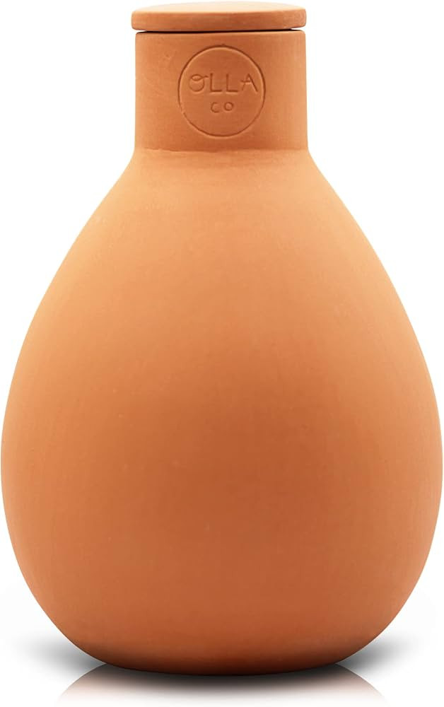 Olla Watering Pot with Lid, Terracotta Self Watering Small     Waters plants up to 2 ft in diamet... | Amazon (US)