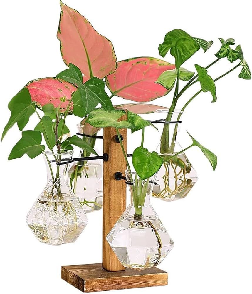 Plant Propagation Stations Terrarium with Wooden Stand-Desktop Glass Bulb Plant Vase for Propagat... | Amazon (US)