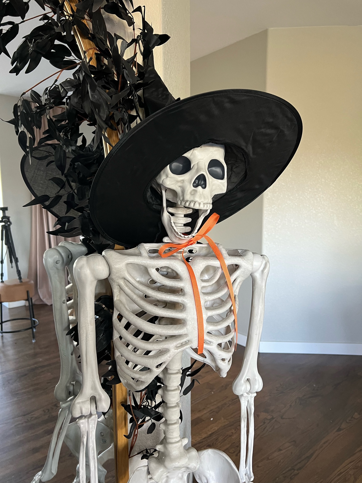 Halloween decor! 5ft skeleton! 

#LTKSeasonal #LTKFindsUnder50 #LTKHome