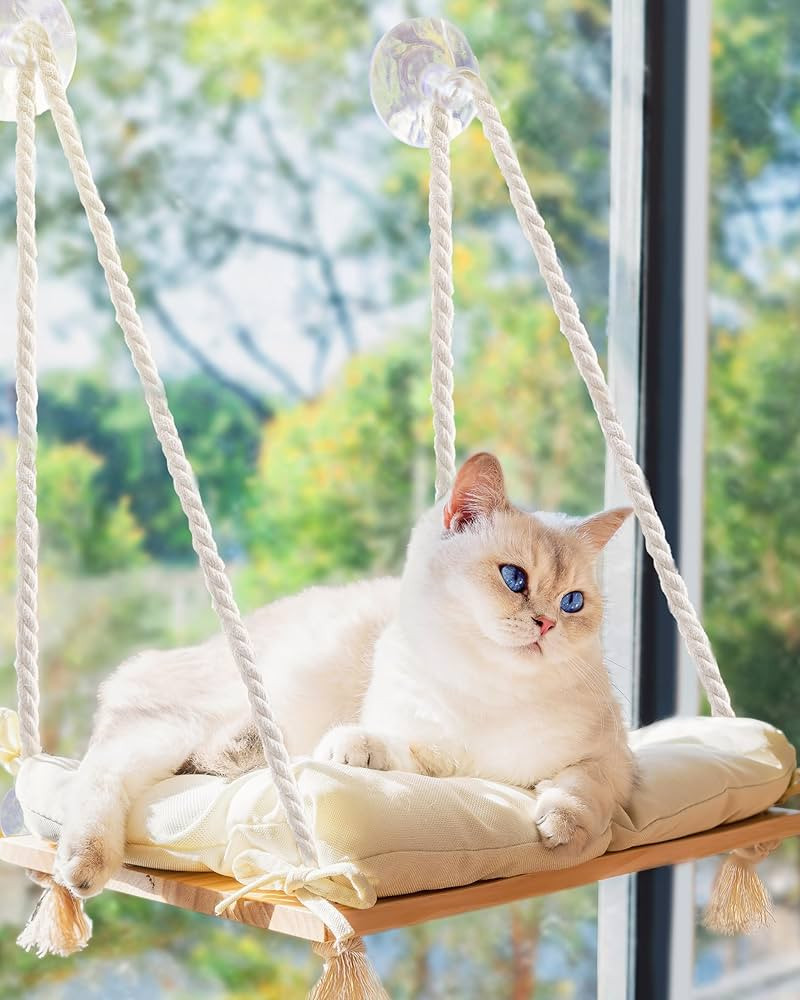 Cat Window Perch with Industrial-Grade Suction Cups - Solid Pine Wood Hammock Bed, Soft Cushion -... | Amazon (US)