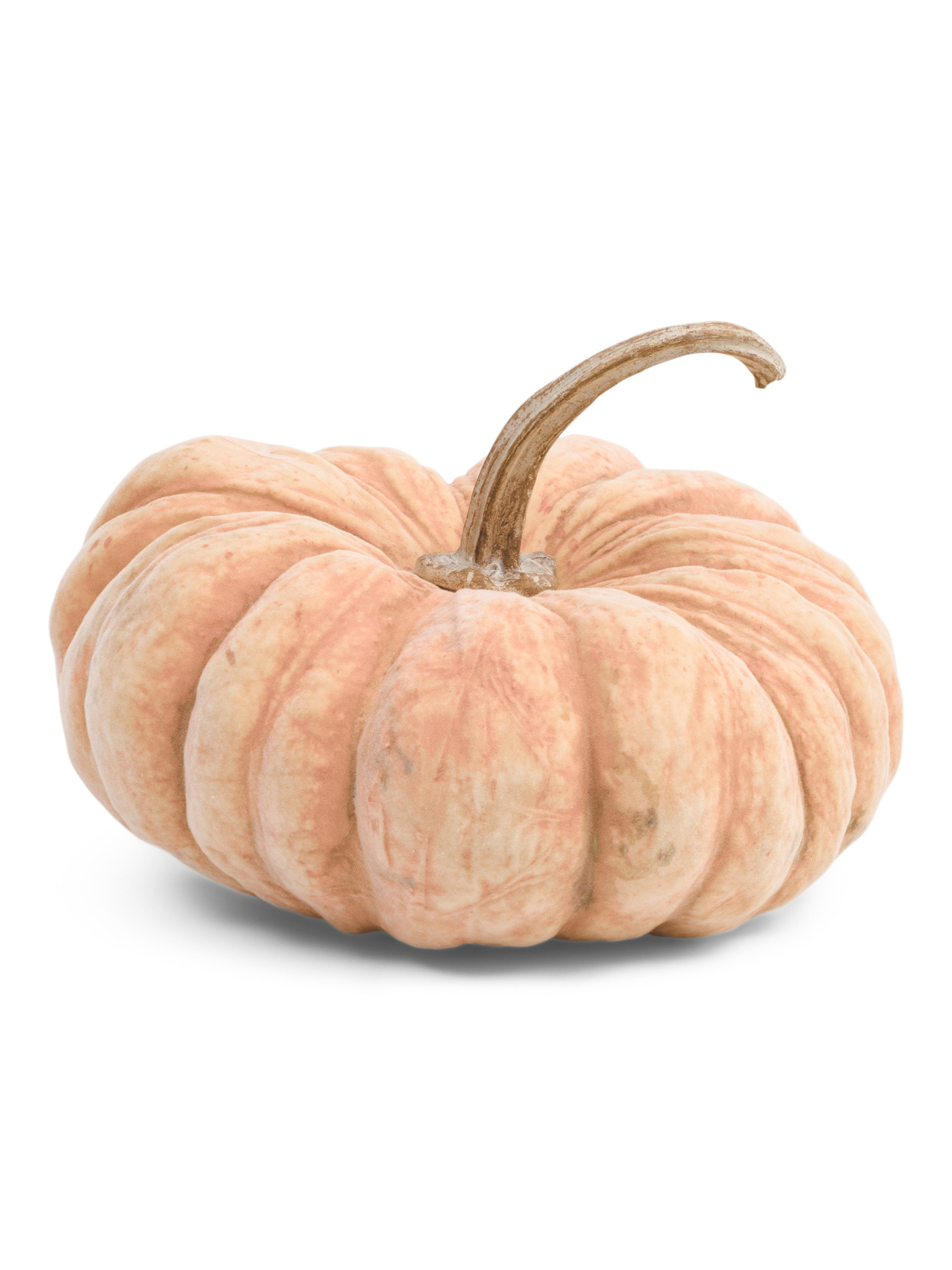 Flocked Pumpkin Decor | Marshalls