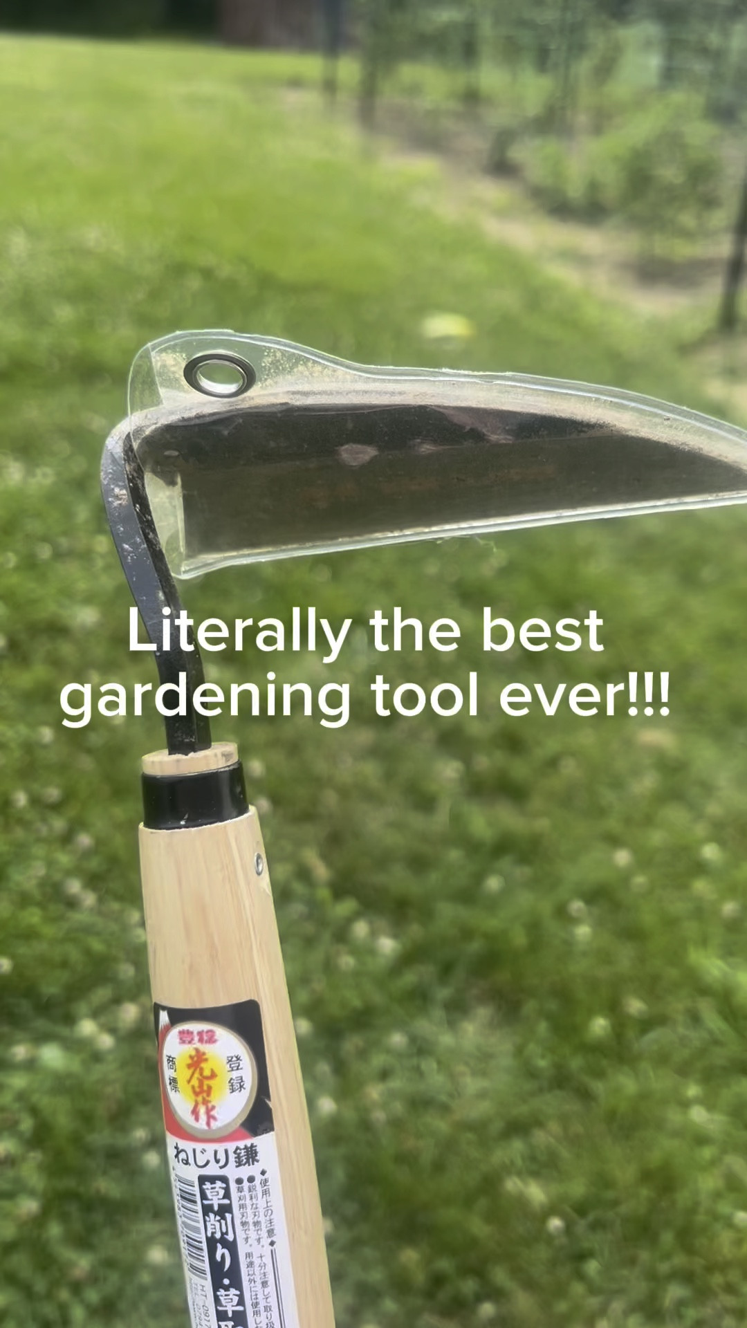 #LTKSeasonal #LTKVideo #LTKHome