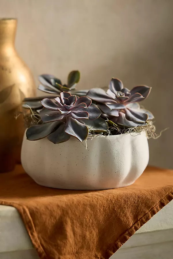Pumpkin Stoneware Bowl Planter | Terrain
