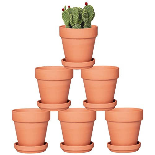 4 Inch Terracotta Pots with Saucer - 6 Pack Small Clay Plant Pots with Drainage Holes, Flower Pots with Tray, Terra Cotta Pots for Indoor Outdoor Plants, Crafts, Wedding Favor | Amazon (US)
