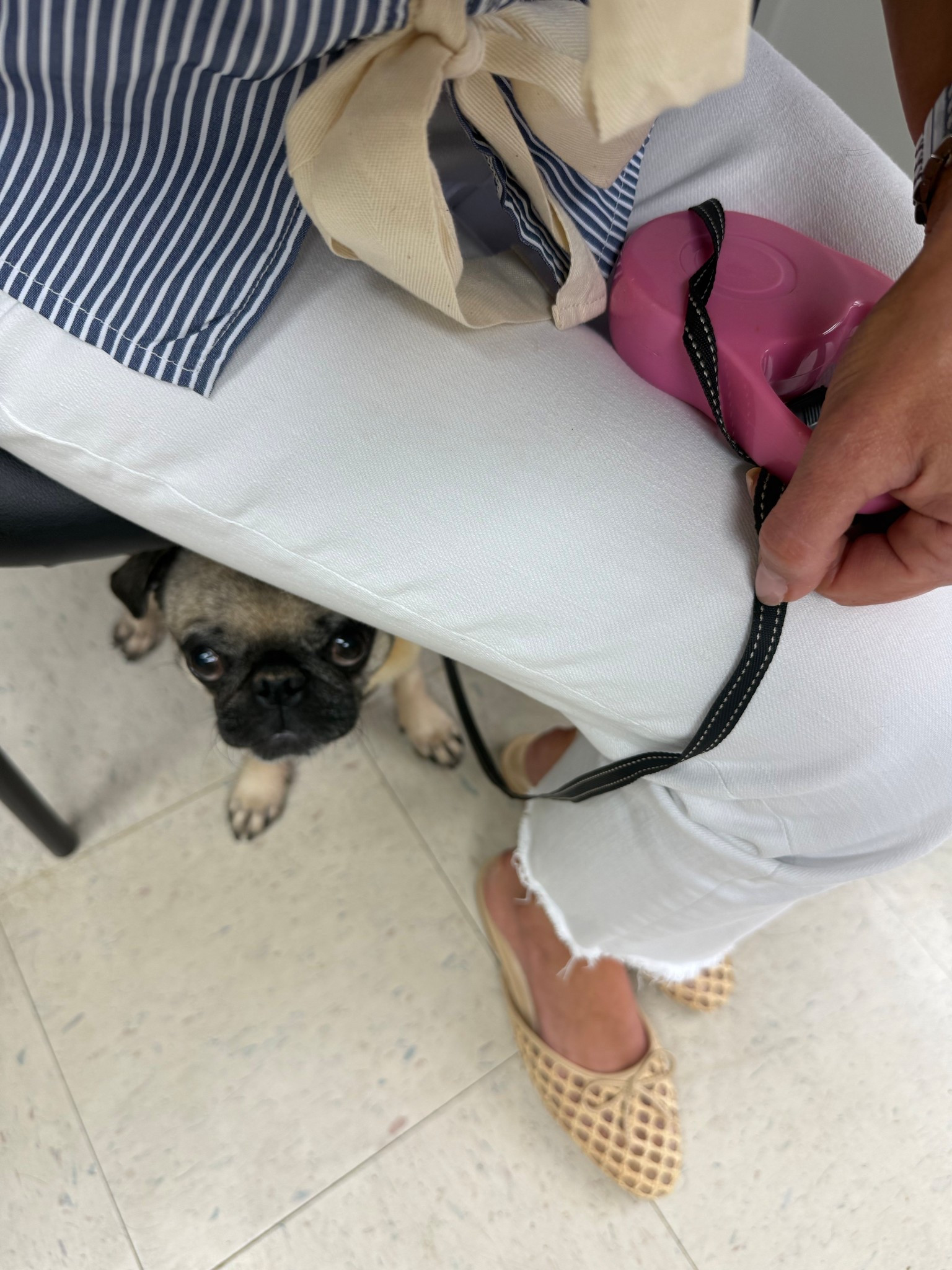 Summer slides 💛 Pug not linked. 🐶

#LTKPetite #LTKSummerEdit #LTKStyleTip