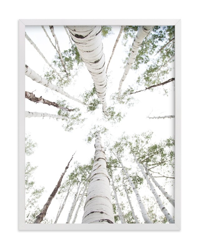 Aspens at Altitude | Minted