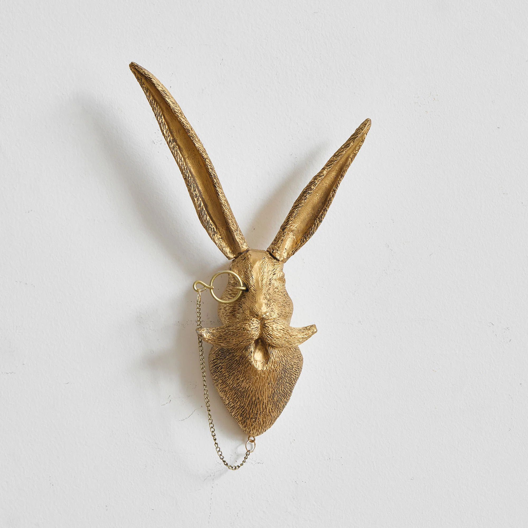 Dakota Fields Rabbit Head Wall Decor, Gold Resin Animal Wall Sculpture for Living Room, Bedroom or Entryway, Vintage Animal Wall Art | Wayfair | Wayfair North America