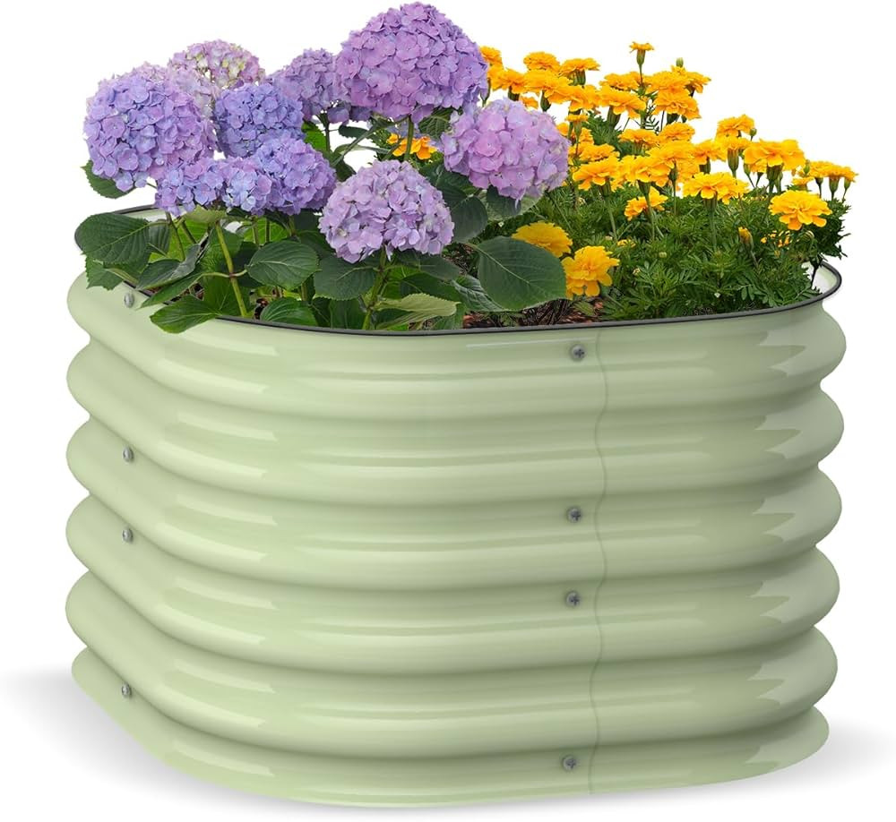 FREE delivery Saturday, October 12 | Amazon (CA)