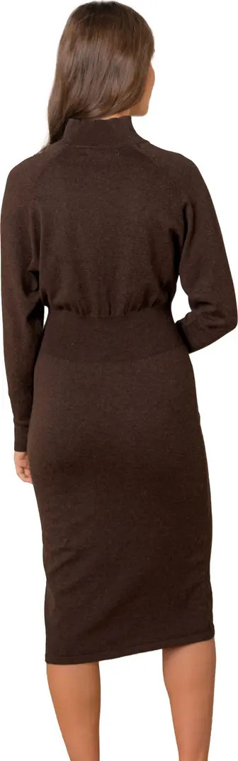 Mock Neck Dolman Sleeve Sweater Dress | Nordstrom