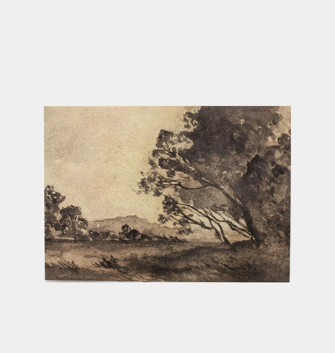 Heirloom no. 6 | Amber Interiors