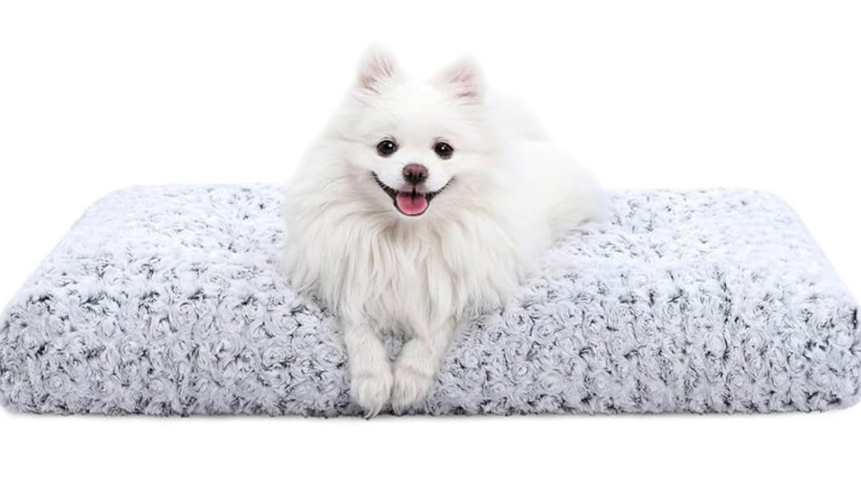 This is by far the best doggy bed. There’s plenty of different sizes and it’s machine washable.