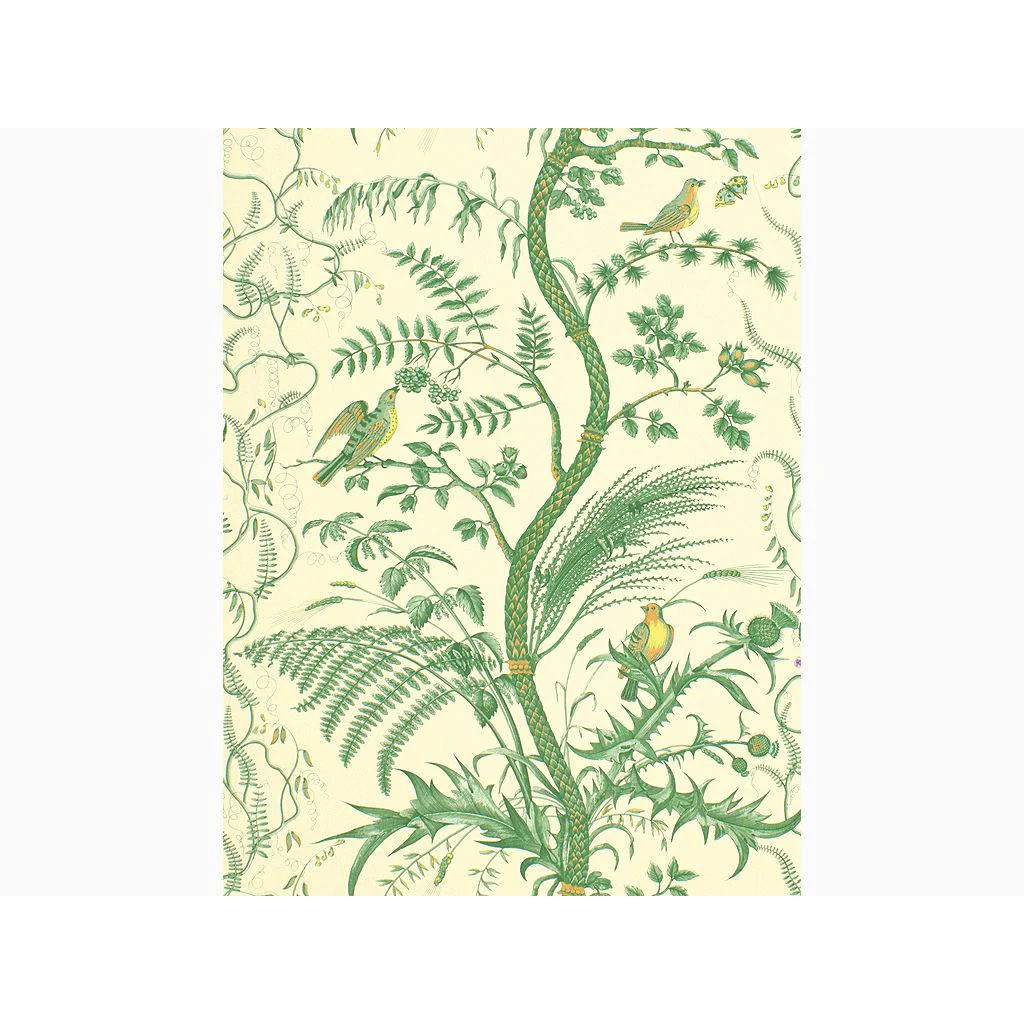 Brunschwig & Fils Bird And Thistle Green Wallpaper | DecoratorsBest
