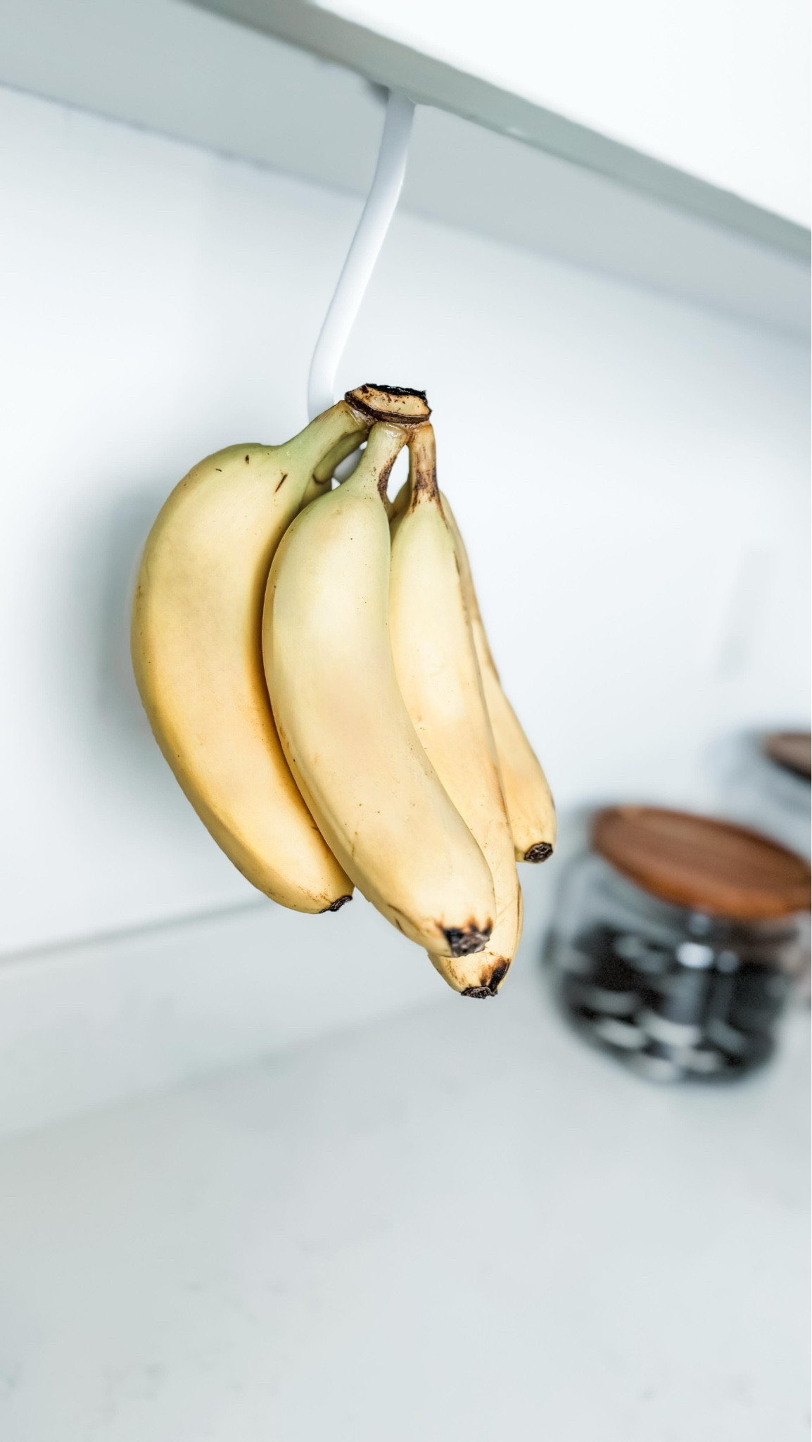 A M A Z O N  G E N I U S
k i t c h e n  f i n d 🍌✨

Finally! A sleek, functional solution for storing bananas! We have had so many bulky banana hangers throughout the years but we don’t always have bananas in the house so we found they wasted so much counter space…

But this, this stores your bananas the way nature intended them to be stored then tucks away when you don’t need it! 🙌🏽 

Comes in 2 other colors and can also be mounted with screws to hold up to 27lbs!

#neatlyembellished #professionalorganizer #homeorganizer #homeorganizing #organization #organizingideas #organizingtips #organizinghacks #organizedhome #organizedmom #organizedlife #amazon #amazonmusthaves #amazonfavorites #amazonfinds #amazonfaves #amazoninfluencer #amazoninfluencerprogram #amazonhome #kitchengadgets #kitchenhacks #kitchenorganization #bananas