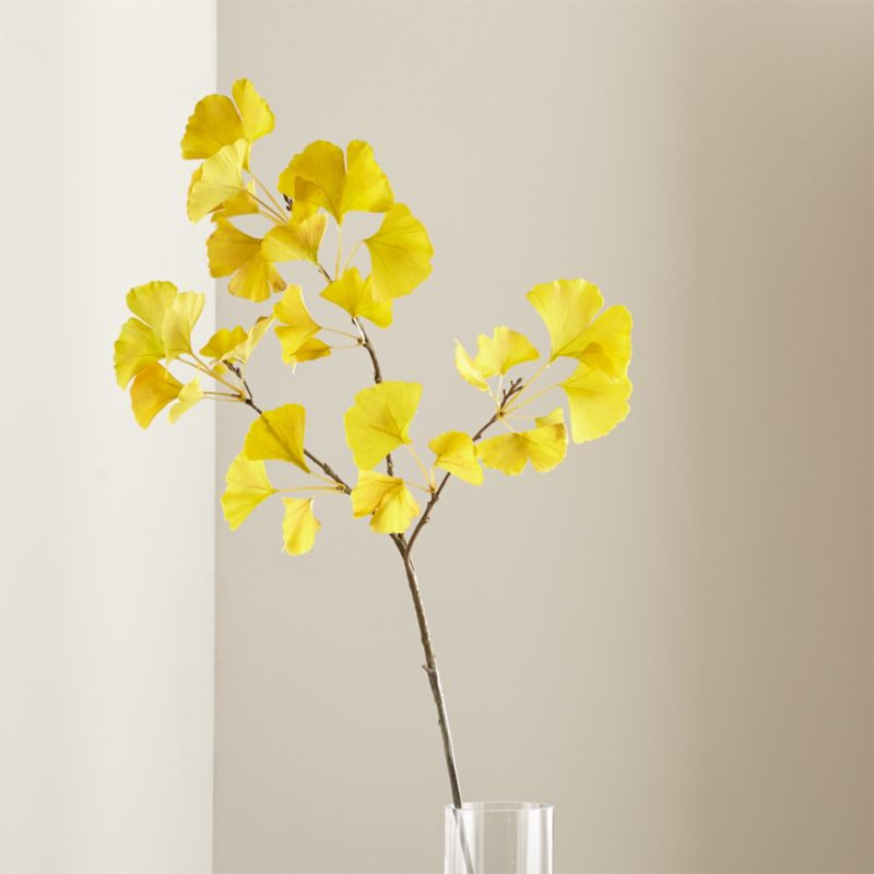 Gingko Stem Yellow | Crate & Barrel