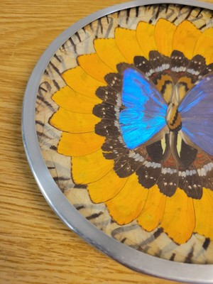 Vintage 1960's Brazilian Iridescent Blue Morpho Butterfly Plate/Trinket Dish  | eBay | eBay US