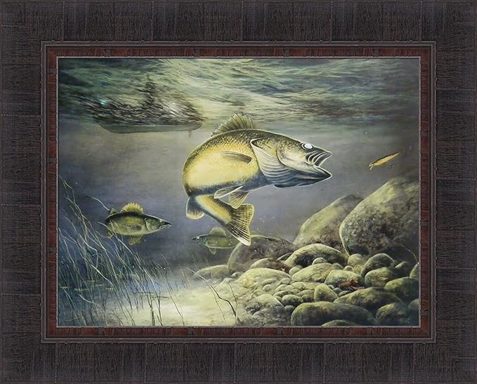 Taking The Bait by Jim Hansel 17x21 Fish Walleye Fishing Framed Art Print Wall Décor Picture | Amazon (US)