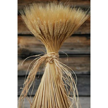 Decorative Large Dried Wheat Bunches 16 oz (1 LB) Wheat Bundle, 80-120 stems, Blond Wheat -- Long st | Walmart (US)