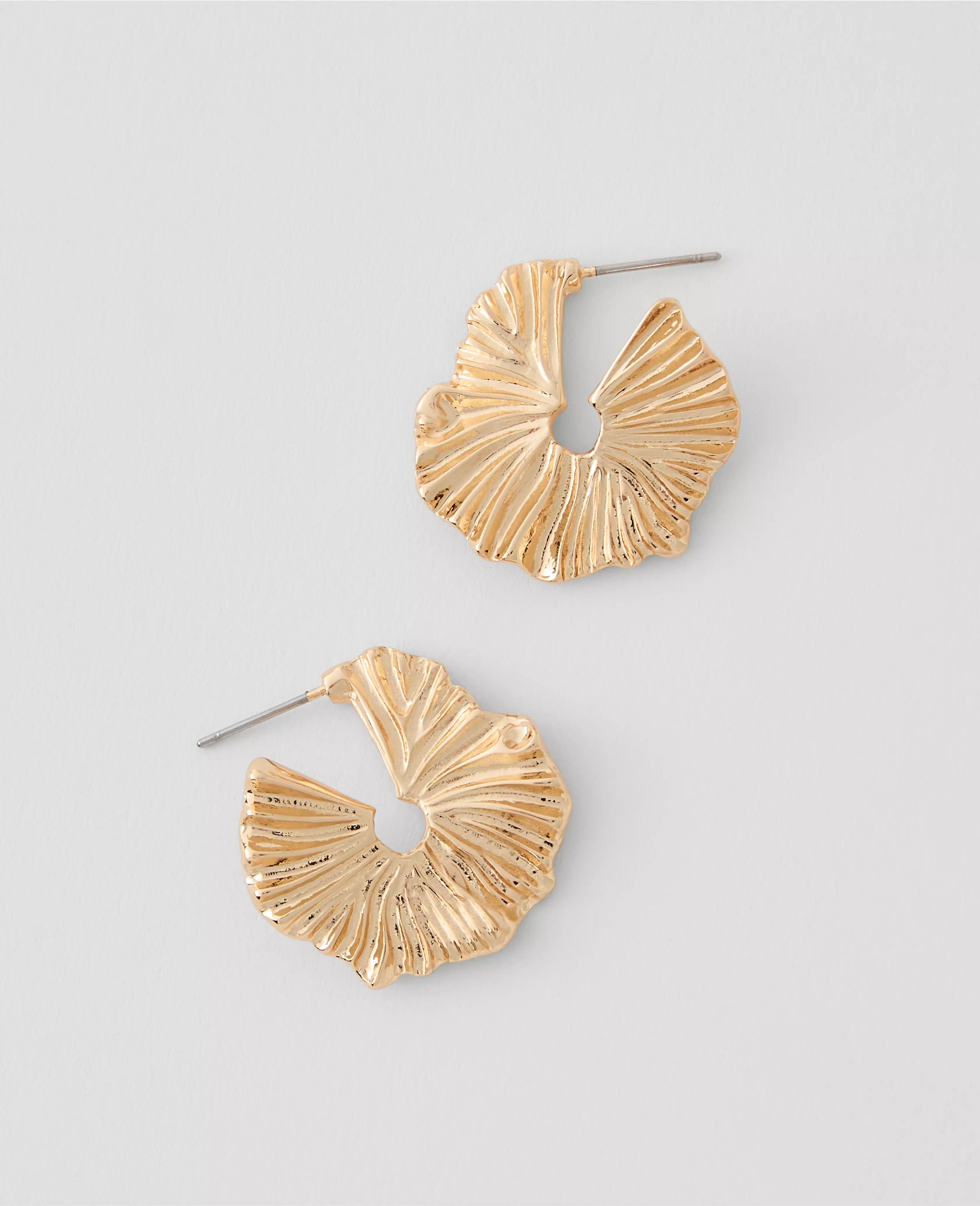 Textured Hoop Earrings | Ann Taylor