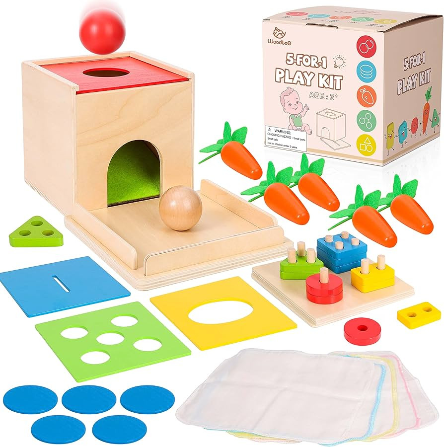 Montessori Toys for Babies 3 Year Old, Wooden Educational Toy, 5 in 1 Play Kit Set with Object Pe... | Amazon (US)