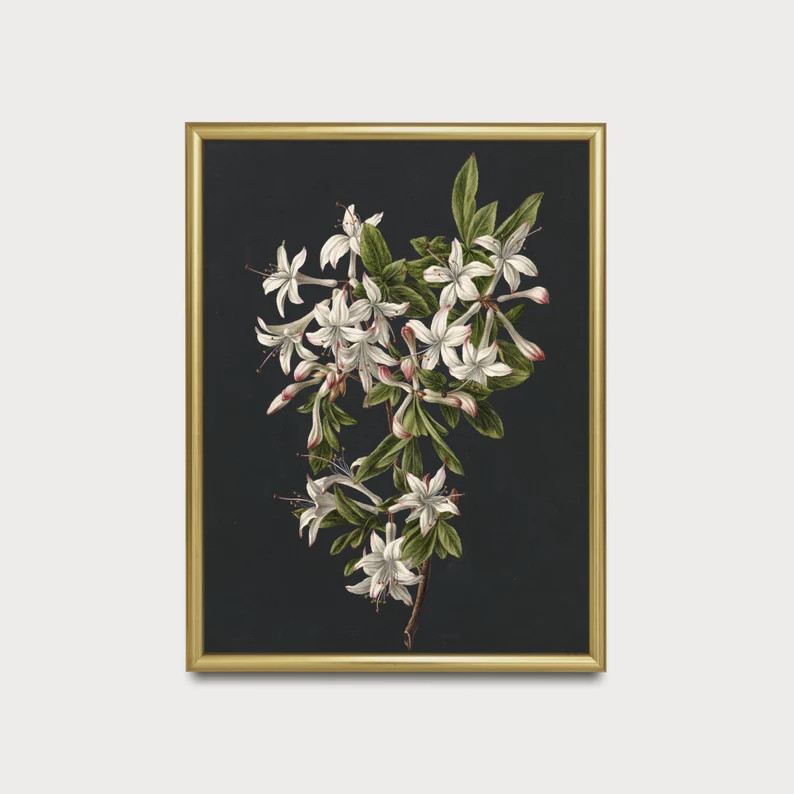 Printed and Shipped Vintage Flower Painting Moody Rustic Botanical Print Antique Still Life Flora... | Etsy (US)