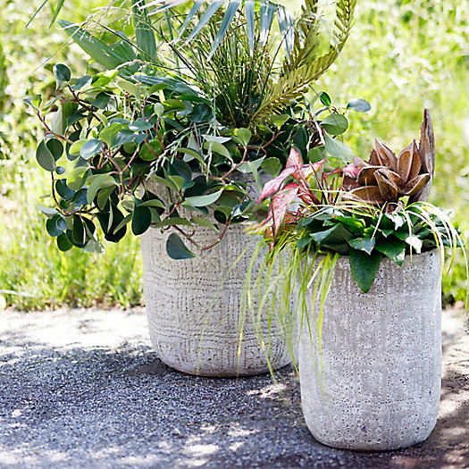 Barnacle Etched Pot | Terrain