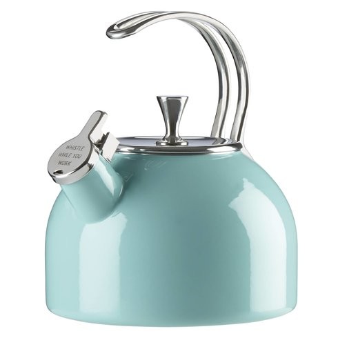 All in Good Taste 2.5-qt. Stainless Steel Tea Kettle | Wayfair North America