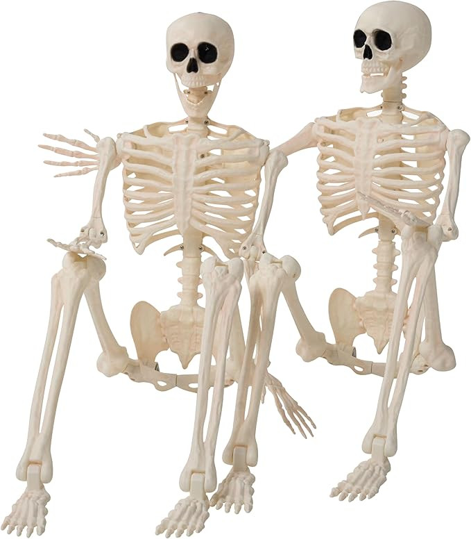 JOYIN 2PCS 36" Halloween Skeleton Decor, 3FT Full Body Stayable Movable Joints, Posable Hanging S... | Amazon (US)