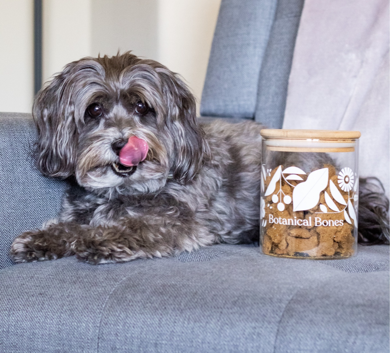 Favorite dog treats now available on Amazon! Tasty all natural treats from a small company. Or buy directly from their website and save with code LILSOPHIE10 

#LTKFamily #LTKFindsUnder50 #LTKHome