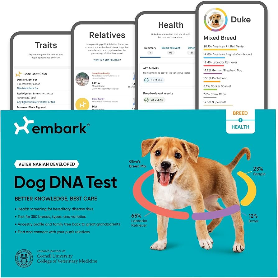 Embark Breed & Health Kit - Dog DNA Test - Discover Breed, Ancestry, Relative Finder, Genetic Hea... | Amazon (US)