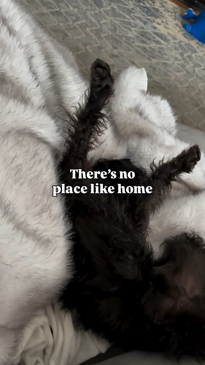 🐾 🙌 if you agree