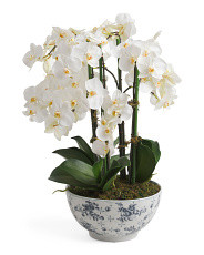 MARTHA STEWART | Marshalls