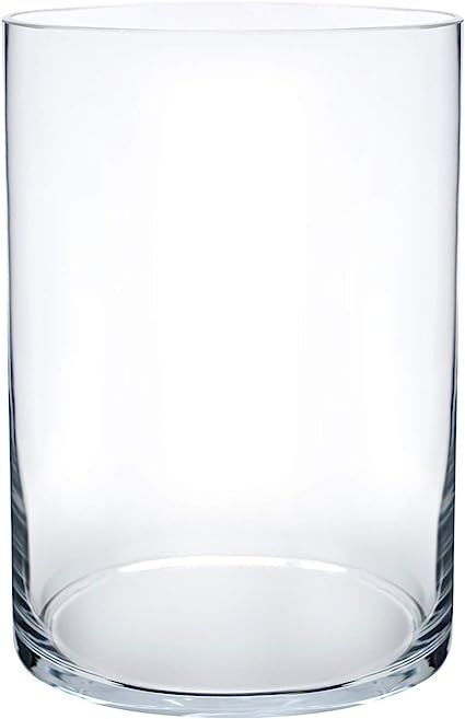 Royal Imports Flower Glass Vase Decorative Centerpiece for Home or Wedding Cylinder Shape, 8" Tal... | Amazon (US)