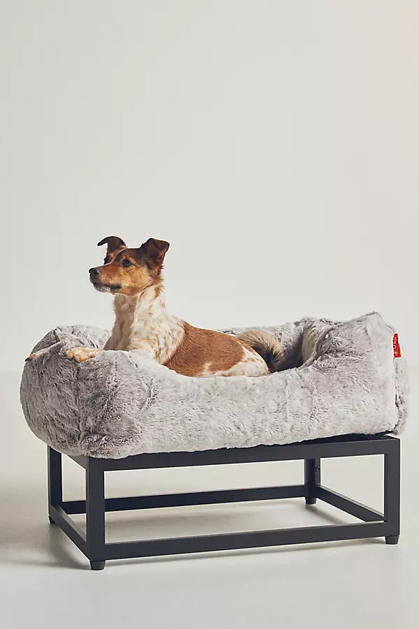 Luxe Elevated Dog Bed | Anthropologie (US)