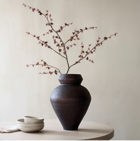 Love this beautiful fall branch

Faux fall branch / fall decor / urn vase / black vase 

#LTKhome #LTKstyletip #LTKSeasonal