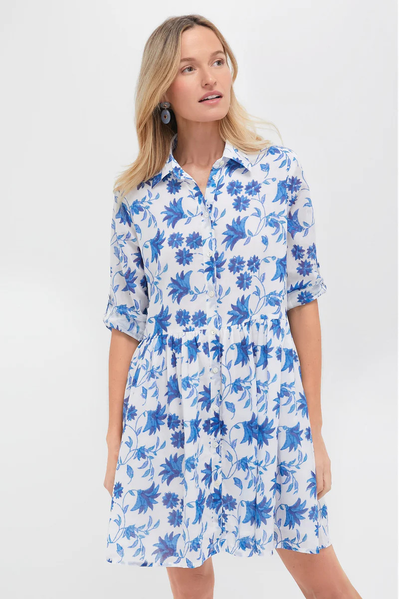 Marion Blue Long Sleeve Shirt Mini Dress | Tuckernuck (US)