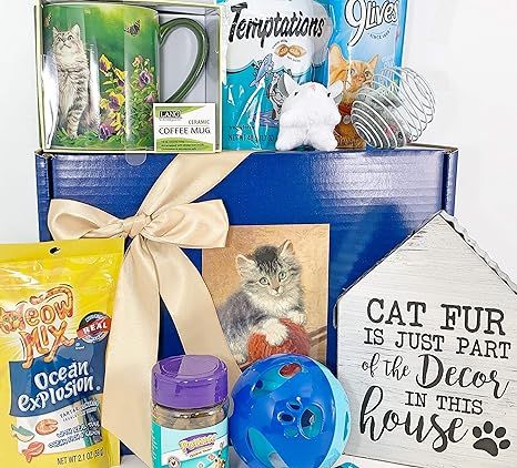 Cat Gift Box Basket for A Favorite Feline Fur Baby Kitty Kitten and His/Her Guardian - Bundle of ... | Amazon (US)