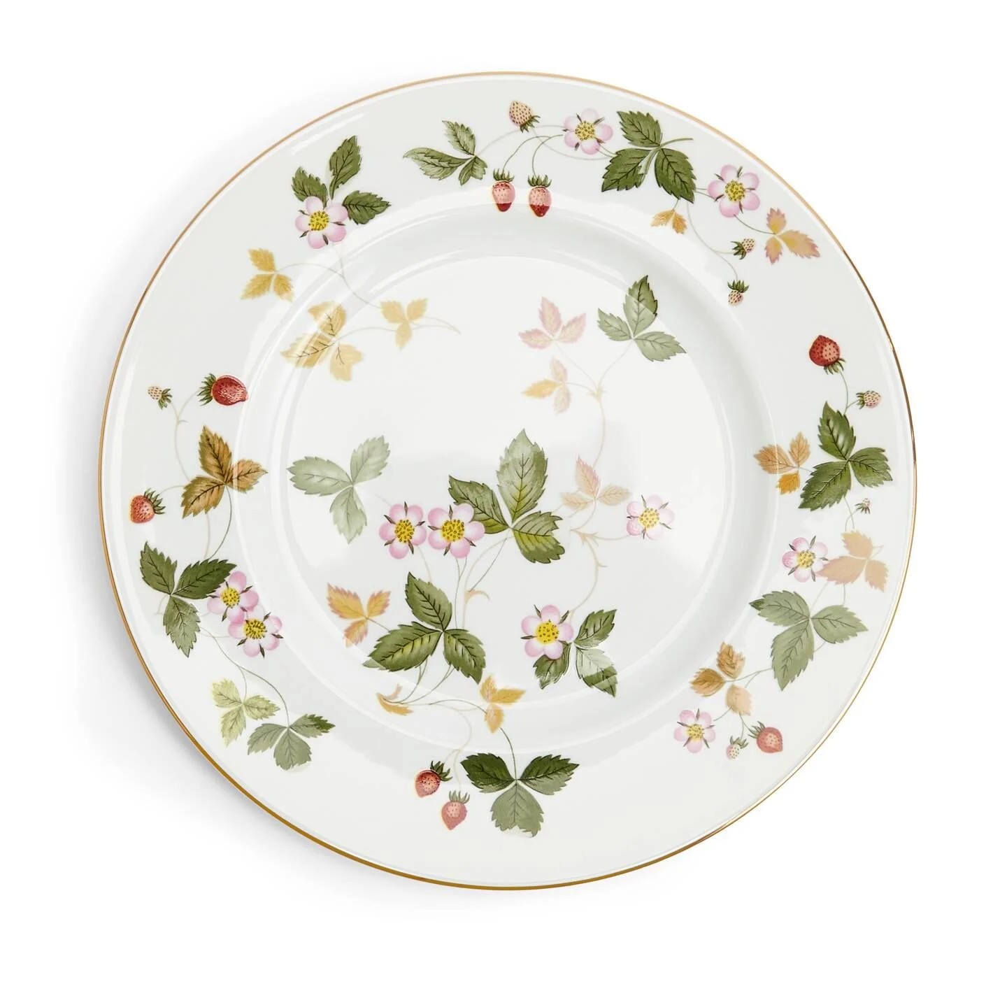 Wild Strawberry Dinner Plate | Wedgwood | Wedgwood