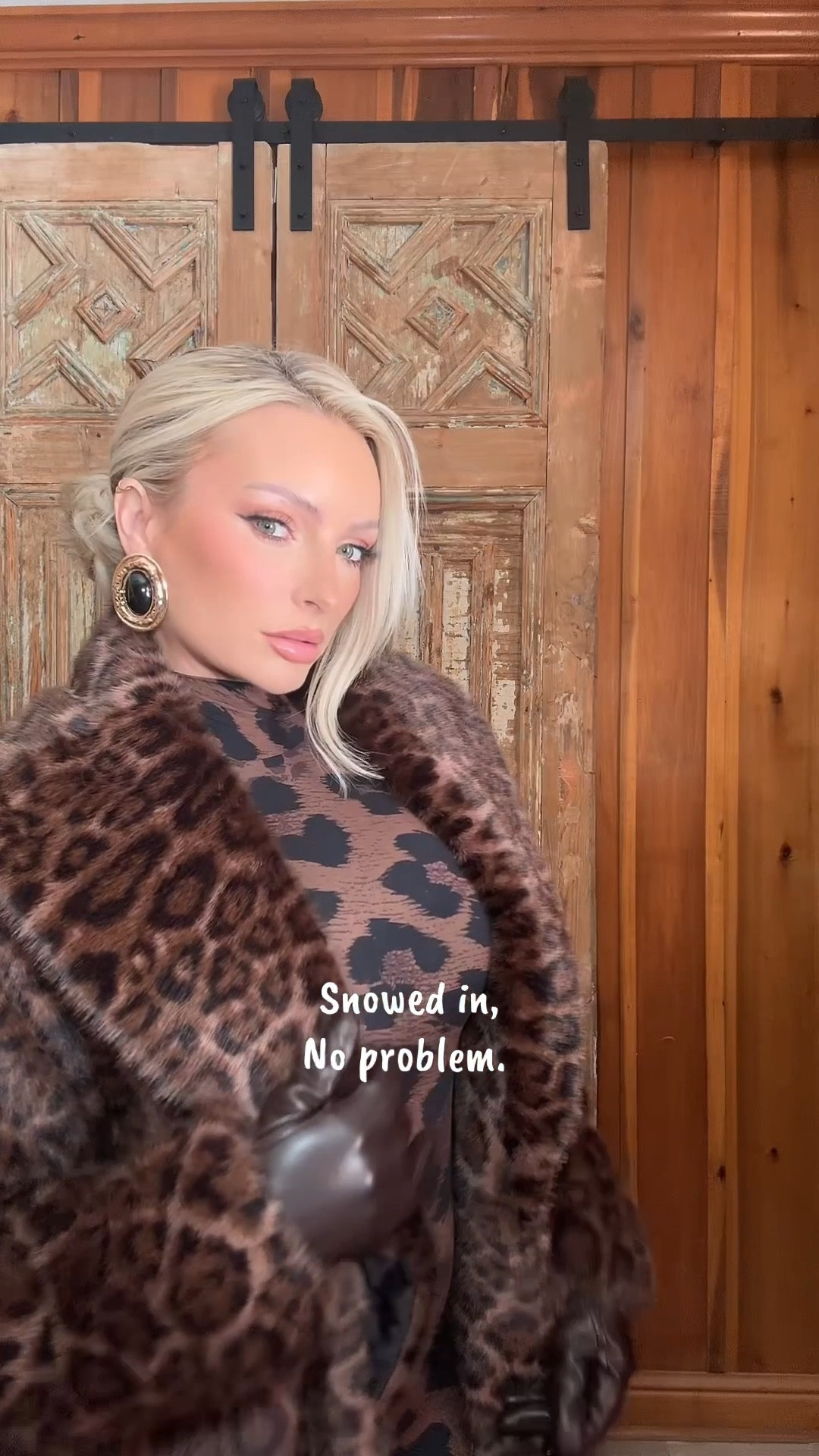 Snow leopard 🐆 ❄️ 