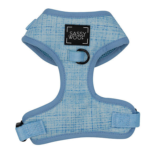 Sassy Woof Blumond Dog Harness | PetSmart