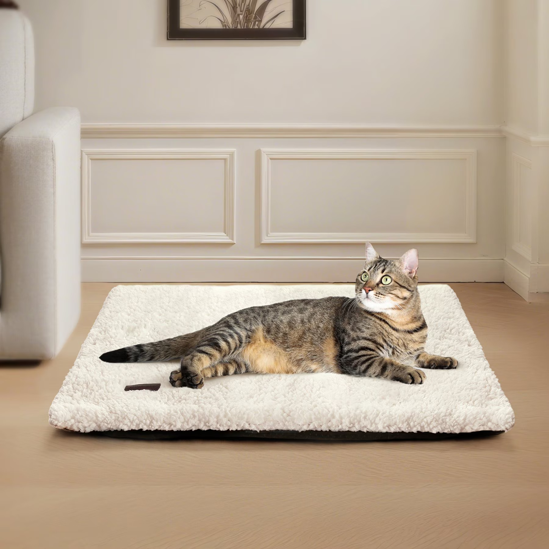 Mora Pets Self-Warming Cat Bed with Removable Cover, Beige, Small | Chewy