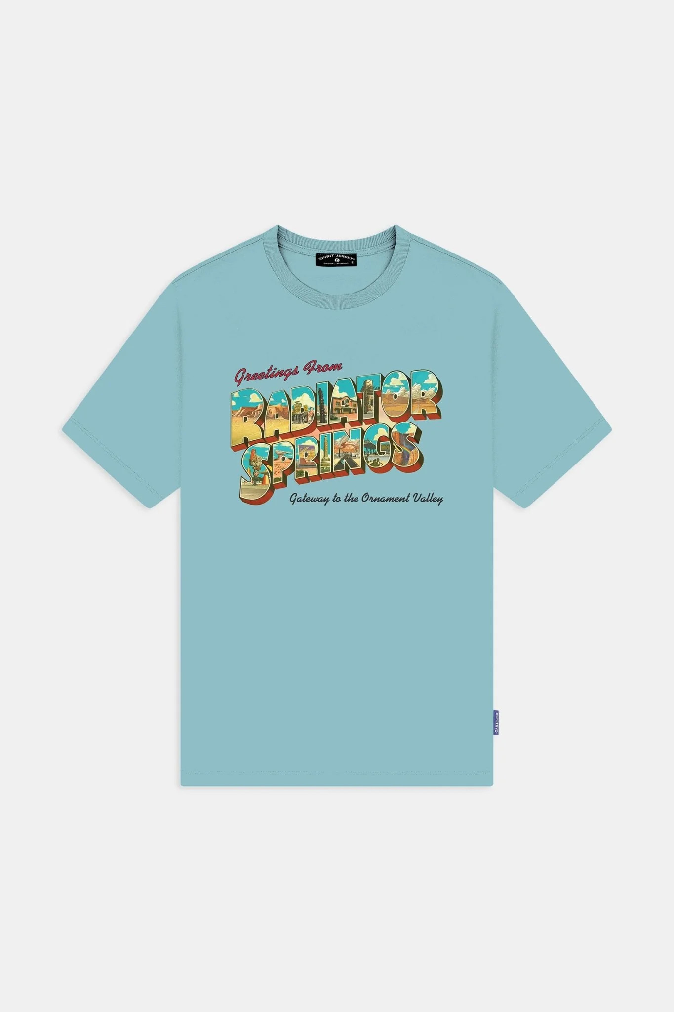 Disney Pixar's Cars\u2122 Greetings from Radiator Springs Everyday Crew | Spirit Jersey