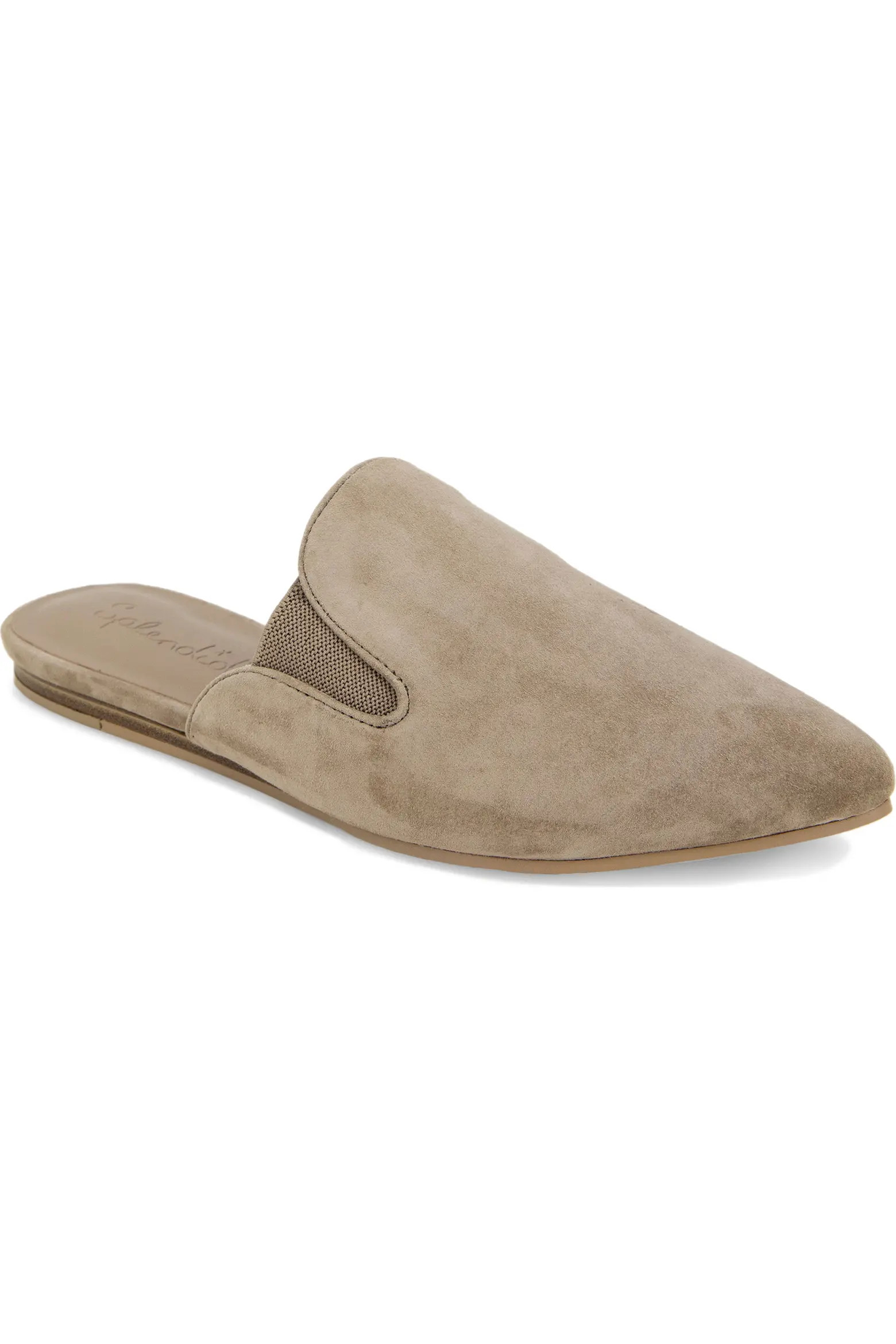 Liza Pointed Toe Mule (Women) | Nordstrom | Nordstrom