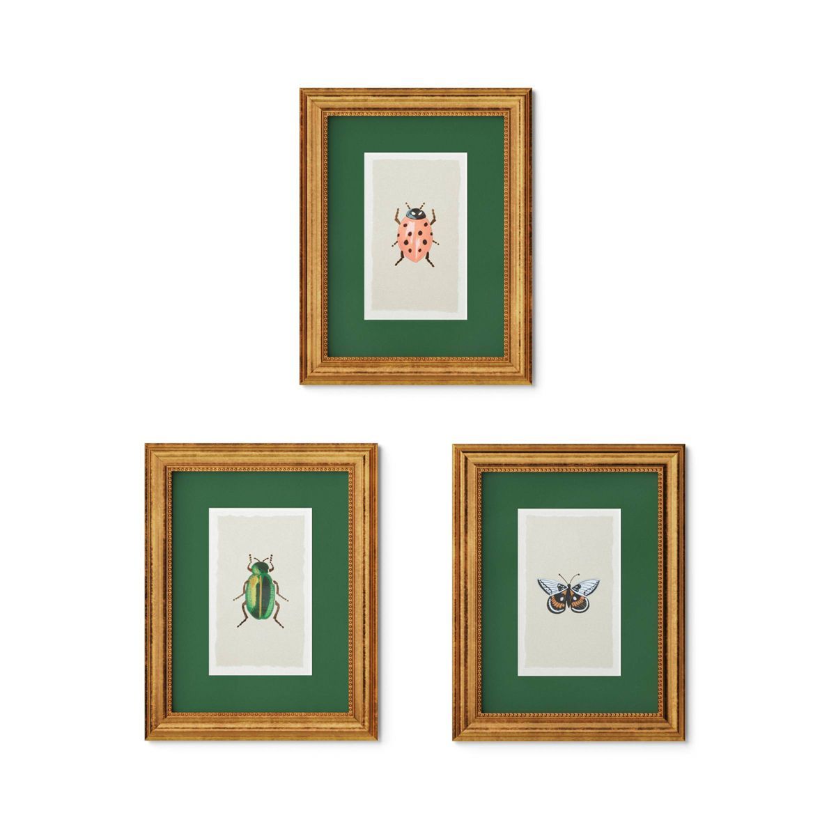 Rifle Paper Co. x Target 11"x14" Gold Foil Insect Poster Framed Wall Art Prints Set of 3 | Target