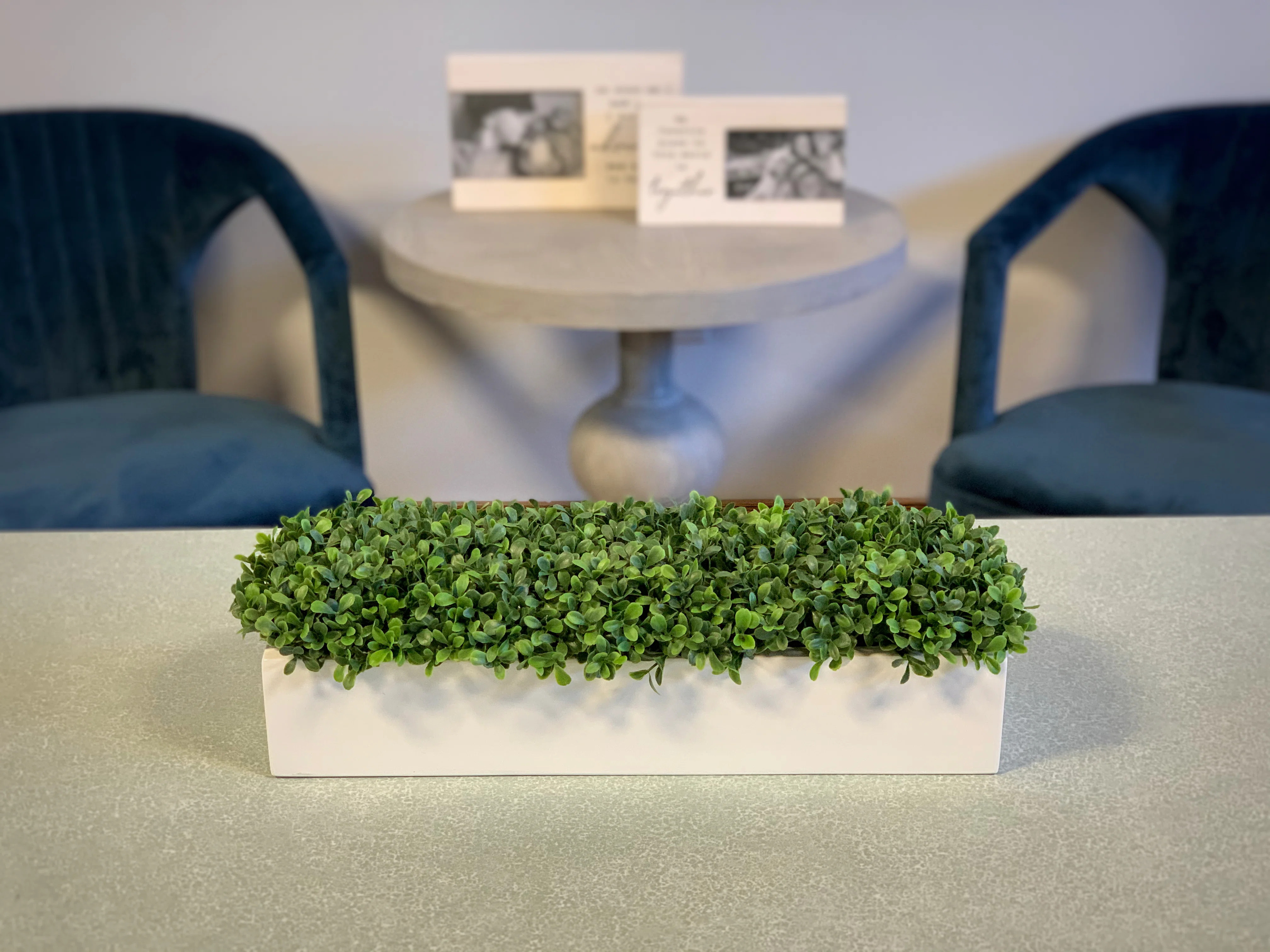 UV Rated Outdoor Faux Boxwood Arrangement in Fiberstone Planter | Wayfair North America